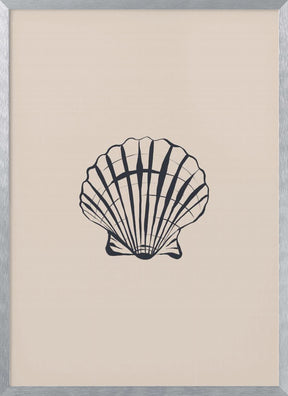 Seashell Poster