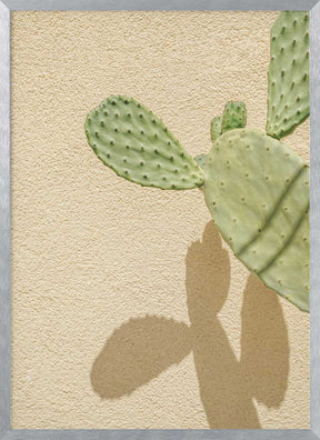 Cacti Shadowplay Poster