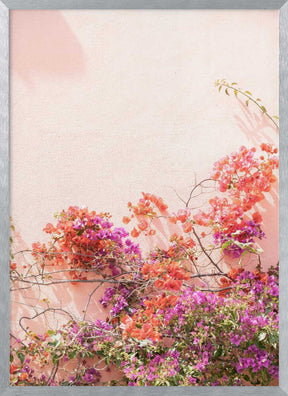 Pink Summer Poster
