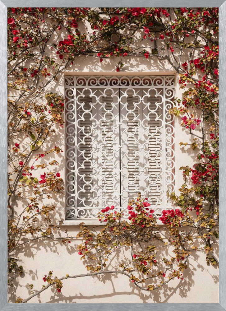 The Red Frame Poster