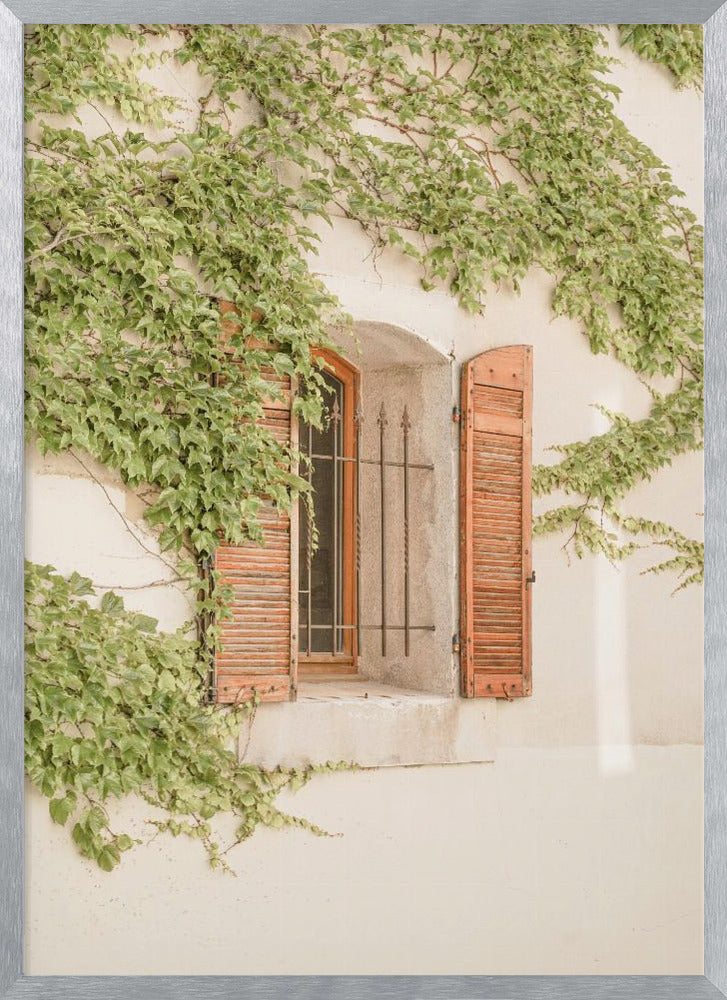 French Shutters Poster