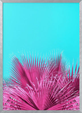 Electric Pink Palm Fronds