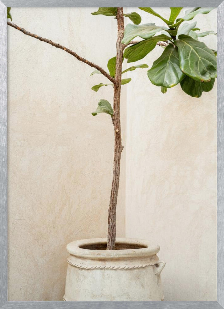 Tree In a Pot Poster