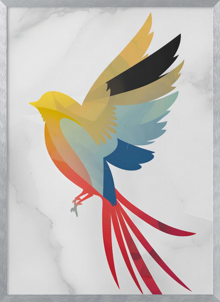 Colorful Bird Poster