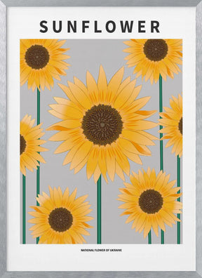 Sunflower - National flower och Ukraine Poster