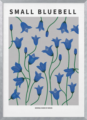 Small Bluebell - National flower of Sweden Poster