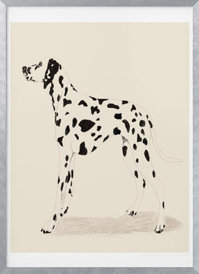 Pandc Dalmation Poster