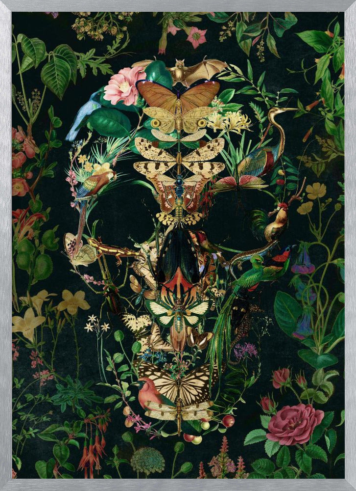 Papillon Skull Poster