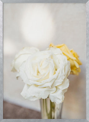 White Roses Poster