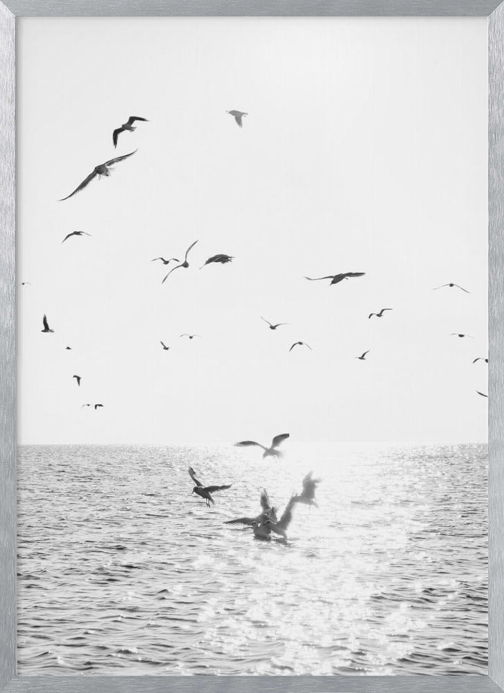 Seagulls At Sea Poster