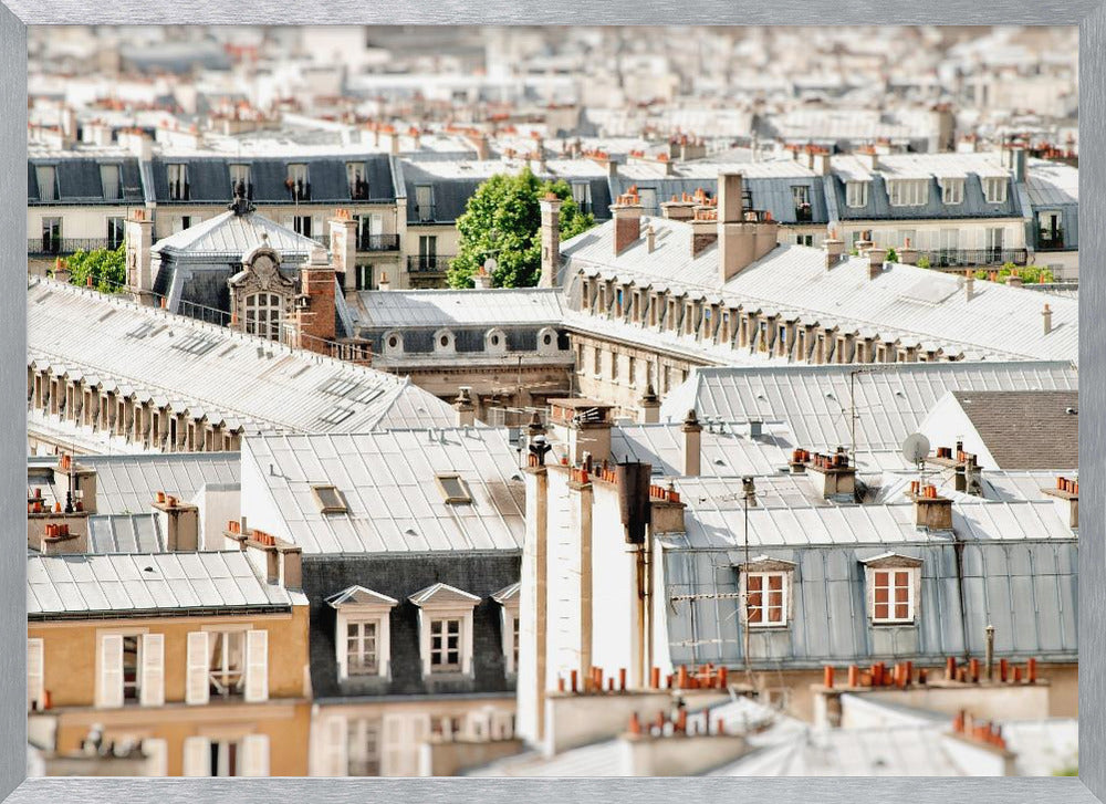 Paris Rooftops Poster