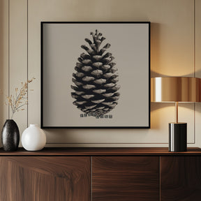 Pine Cone Poster