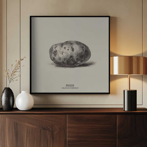 Vintage Vegetables - Potato Poster