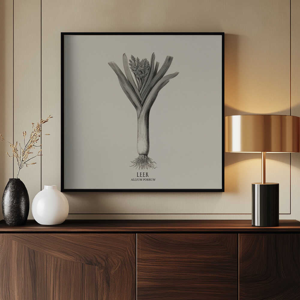 Vintage Vegetables - Leek Poster