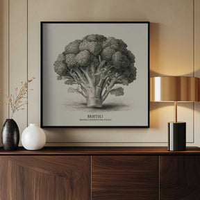 Vintage Vegetables - Broccoli Poster