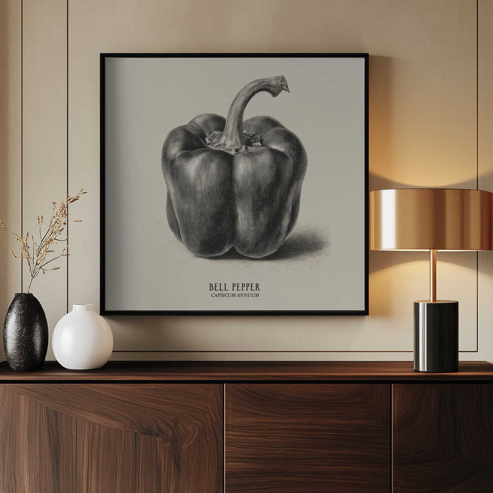 Vintage Vegetables - Bell Pepper Poster