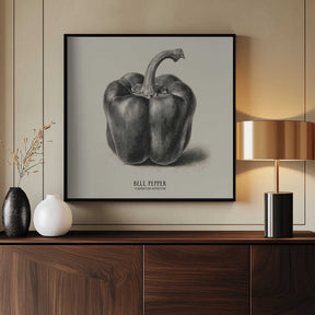 Vintage Vegetables - Bell Pepper Poster