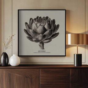 Vintage Vegetables - Artichoke Poster