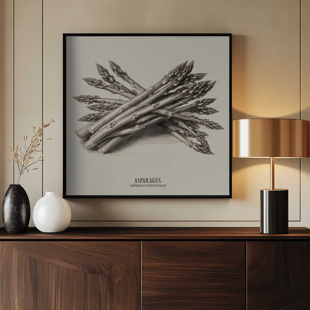 Vintage Vegetables - Asparagus Poster