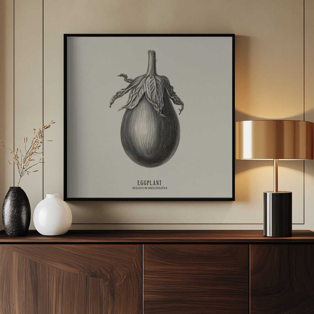 Vintage Vegetables - Eggplant Poster