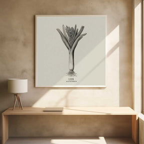 Vintage Vegetables - Leek Poster
