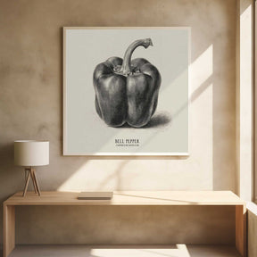 Vintage Vegetables - Bell Pepper Poster