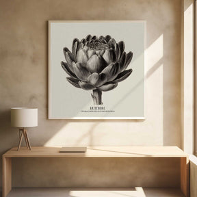 Vintage Vegetables - Artichoke Poster