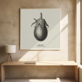 Vintage Vegetables - Eggplant Poster