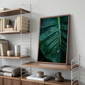 Rain Kissed Leaf Poster