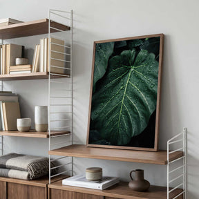 Rain Kissed Leaves Poster
