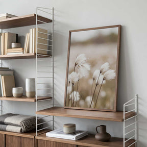 Cotton Grass - Eriophorum Poster
