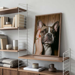 Petting a Frenchie Poster