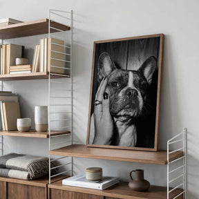 Petting a Frenchie Poster