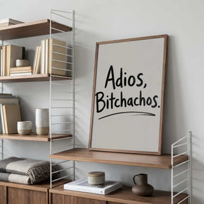 Adios Bitchachos Poster
