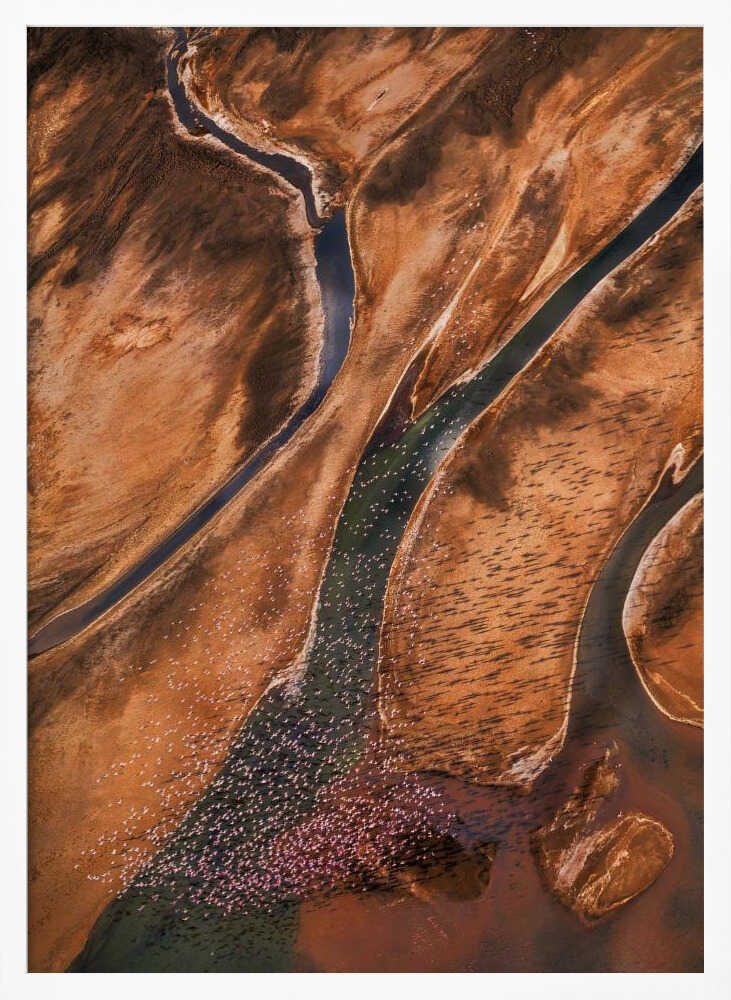 Flying over Palette Poster