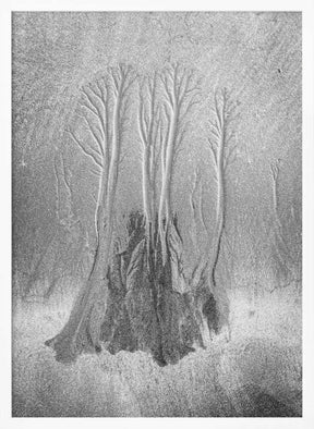 Mangrove… Poster