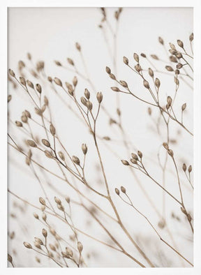 Wild Grass Poster