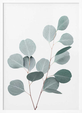 Silverdollar Poster