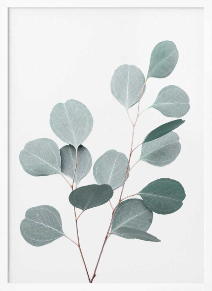 Silverdollar Poster