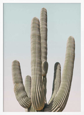 Saguaro Poster