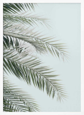 Blue Palms Poster