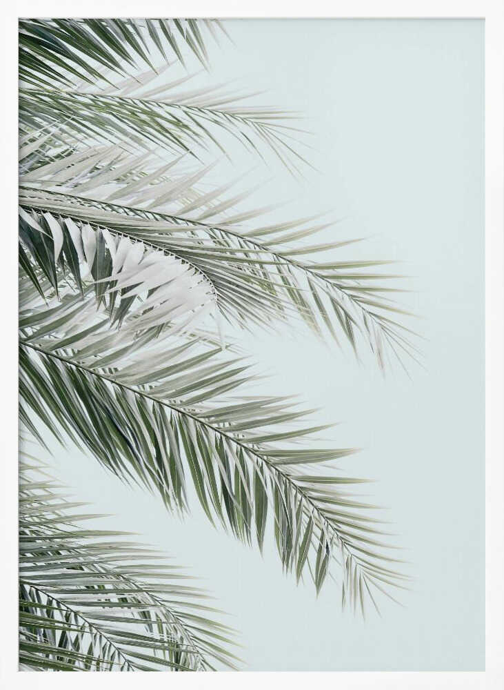 Blue Palms Poster
