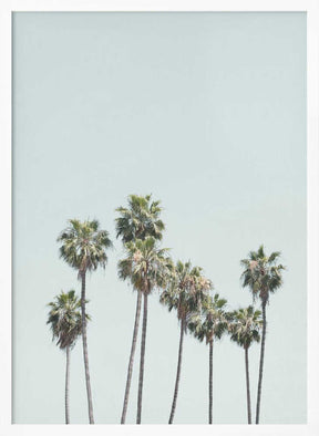 Blue Palm Trees Poster