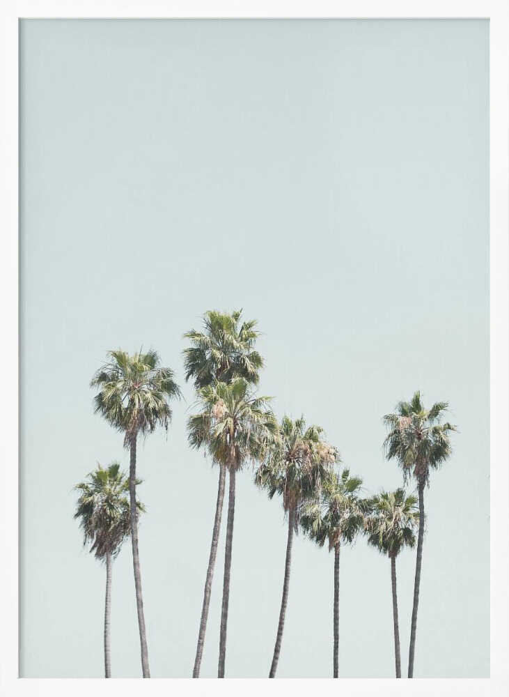 Blue Palm Trees Poster