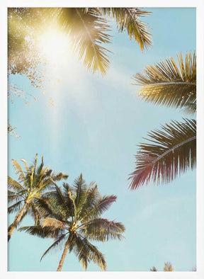 Sun Rays Poster