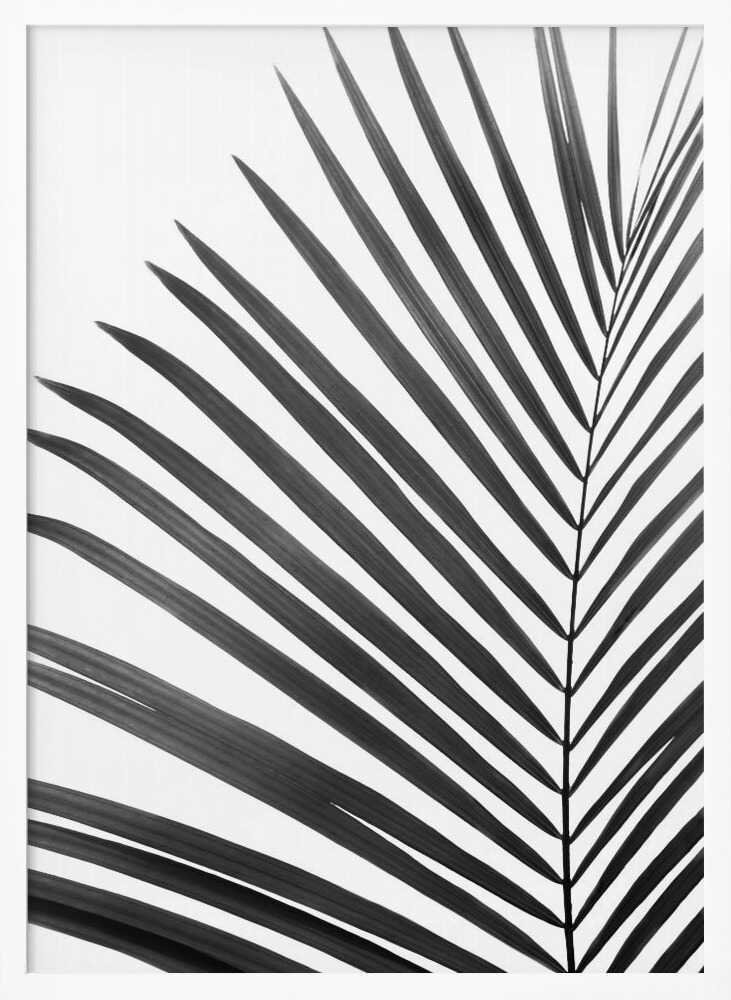 BW Palm Leaf Poster
