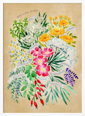 Medicinal herbs in vintage sepia Poster