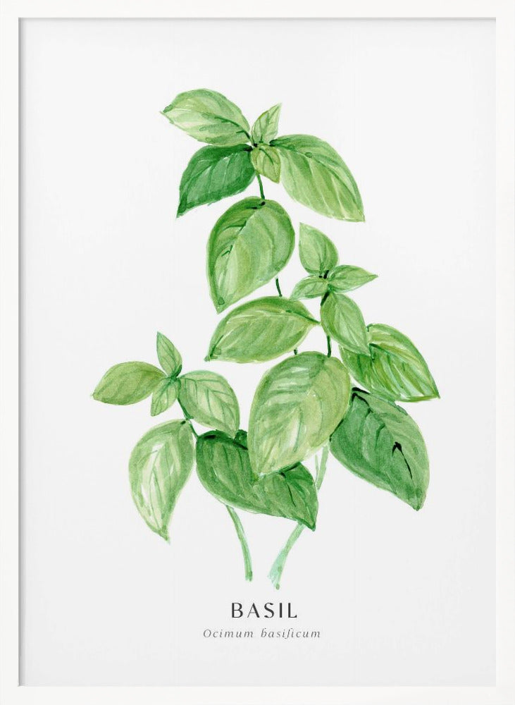 Basil I Poster