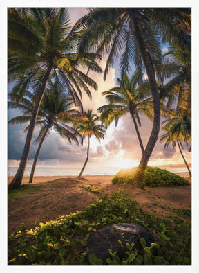 Vertical Paradise Poster