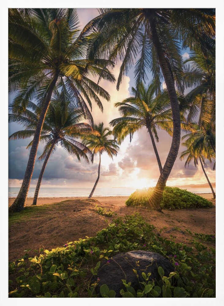 Vertical Paradise Poster